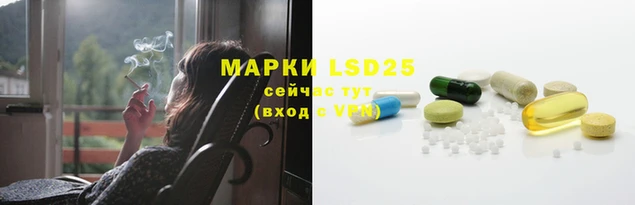 apvp Лиски