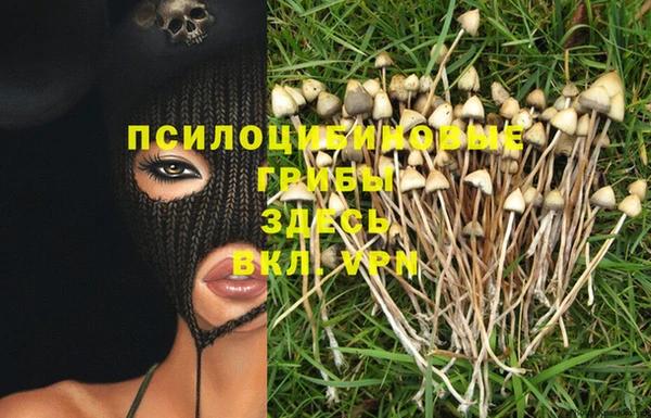 apvp Лиски