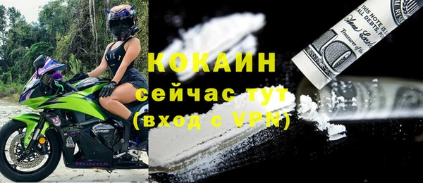 дживик Липки