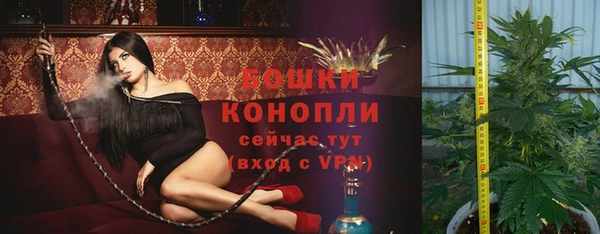 apvp Лиски