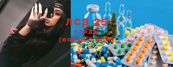 дживик Липки
