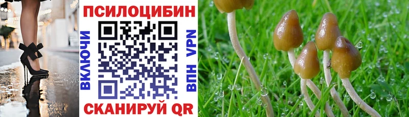 Купить закладки Ярцево Галлюциногенные грибы MAGIC MUSHROOMS